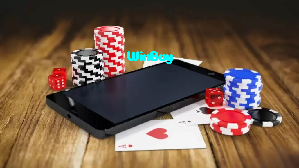 available types of WinBay bet including pre-match live express and system bets